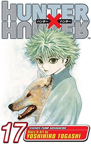 Hunter X Hunter 08: Togashi, Yoshihiro: 9783551762184: Amazon.com